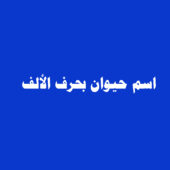 "رانا جايين".. أغنية جزائرية تؤكد قوة العلاقات بين مصر والجزائر.. فيديو ~ بوابة أخبار عربية